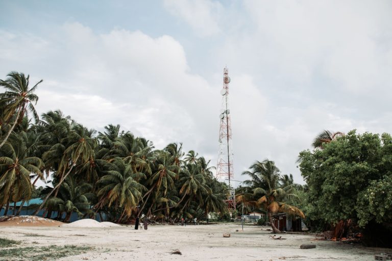 What Is Telecommunications Network Architecture?